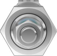 dsnu-25-25-ppv-a Festo Pneumatic Cylinder - 33975