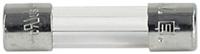 00343130 Schurter 20A T Glass Cartridge Fuse, 5 x 20mm
