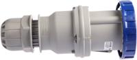 3186343 Scame IP66, IP67 Blue Cable Mount 2P + E Industrial Power Socket, Rated At 63A, 230 V