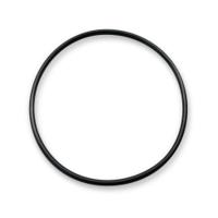 28250220000 Pfannenberg O-Ring Gasket O-Ring