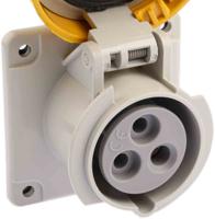 4281660 Scame Grey Socket, Rated At 16A, 100 → 130 V