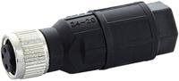 7000-08385-0000000 Murrelektronik Limited Circular Connector, 4 Contacts, Cable, M8 Connector, Socket, Female, IP65, IP67, 7000 Series