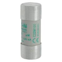 c22m100 Eaton 100A Ceramic Cartridge Fuse, 22 x 58mm