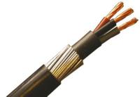 196-4707 RS PRO Armoured 4 mm² 3 Core Power Cable, Black PVC, 50m
