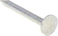 170-1646 RS PRO Galvanised Nails; 30mm x 3mm; 500g Bag