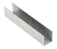 1237 Rapesco 923/10mm Staples
