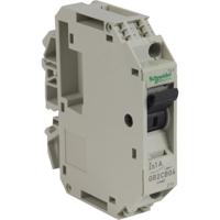 gb2cb06 Schneider Electric 1A 1P Pole Thermal Magnetic Circuit Breaker, 277 V ac, 415 V ac GB2