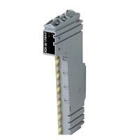 x20ao2438 B&R X20 Series Analog I/O Module for Use with PLC's, Analogue, 24 V dc