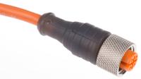 11364-rkt-4-3-065-m Lumberg Automation Female 3 way M12 to Free End Sensor Actuator Cable, 5 m