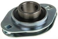 pft-25-tf 2 Hole Flange Bearing Unit, PFT 25 TF, 25mm ID