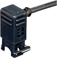 7000-70301-7400150 Murrelektronik Limited Female 2 way M8 to Free End Sensor Actuator Cable, 1.5 m