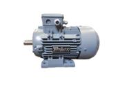 187-9875 RS PRO Squirrel Cage Motor AC Motor, 3kW, IE3, 3 Phase, 4 Pole, 400 V, Foot Mount Mounting