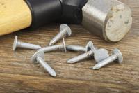 170-1645 RS PRO Galvanised Nails; 20mm x 3mm; 500g Bag