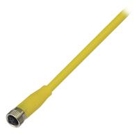 bcc0543 BALLUFF Female 4 way M8 to 4 way Free End Sensor Actuator Cable, 5 m