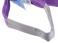 729-3063 RS PRO 2m Purple Lifting Sling Webbing, 1t