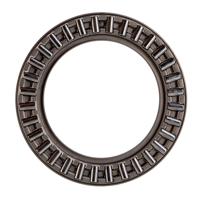 axk4060-a0-10 INA AXK4060-A/0-10 40 mm ID Needle Roller Bearing Needle, 60 mm OD