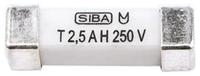 1600164 SIBA SMD Non Resettable Fuse 4A, 250V